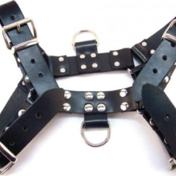 Rouge Over The Head X-Large Harness