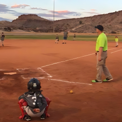 Youth Baseball Leagues