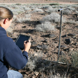 Rangeland Management - Coconino/Mohave