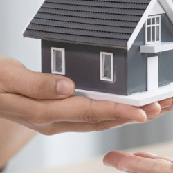 Property Showing