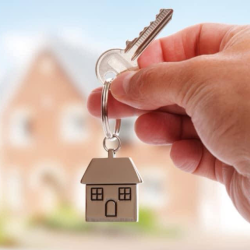 Real Estate Investor Services