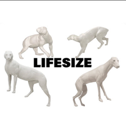 Lifesize