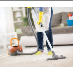 Professional Carpet Cleaning