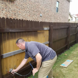 Deck and Fence Staining
