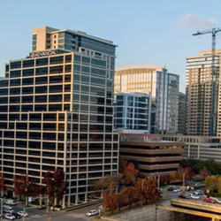 Economic Development