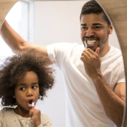 Residential Properties