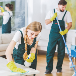 Eco-Friendly Cleaning Services