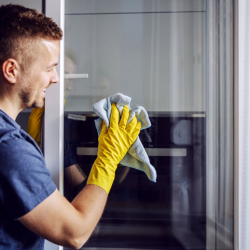 Window Cleaning Services