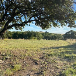 Lot-Lands Properties