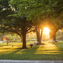 Cemetery Property Costs