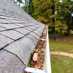 Gutter Cleaning