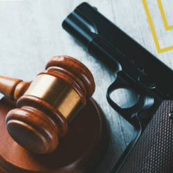 Weapons Offenses