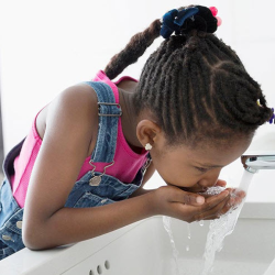 Lead & Drinking Water