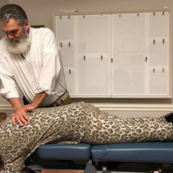 Spinal Adjustments