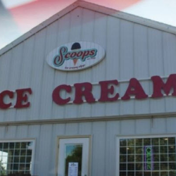 Small Business Advocate