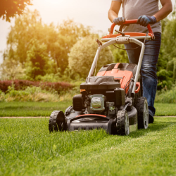 Lawn Care