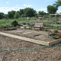 Garden Plot Leasing