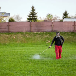 Pre-Emergent Weed Control