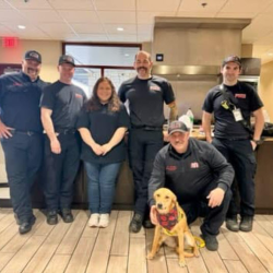 Animal Services