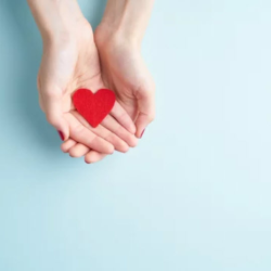 Donate: Yearly Donation