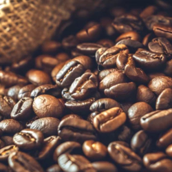 Wholesale Coffee Supply