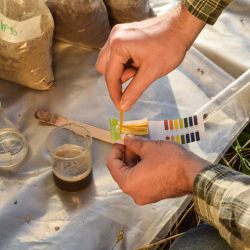 Soil Testing and Analysis