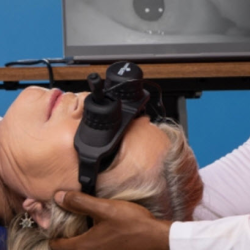 Vestibular System
