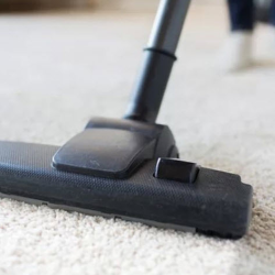 Carpet Cleaning