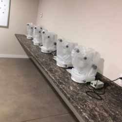 Thawing & Implanting Bovine Embryos Training Course