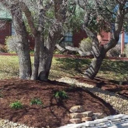 Landscaping Service
