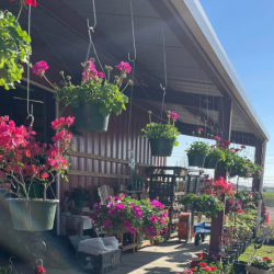 Design and Build Pergolas