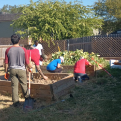 Homeowner Rehabilitation Assistance