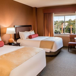 Rooms & Suites