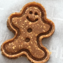 Gingerbread “Mailman”