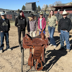 Under Saddle Trainers 