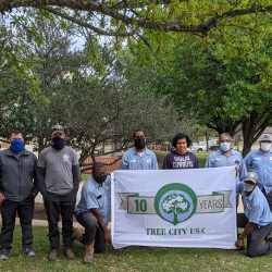 Urban Forestry