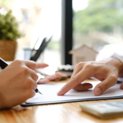 Investment Property Consultation