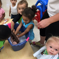 Interactive Play and Socialization