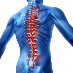 Non-Surgical Spine Care
