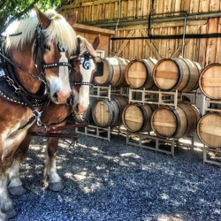 Horse-Drawn Wine Tour