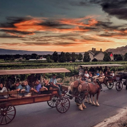 Horse-Drawn Sunset Tour