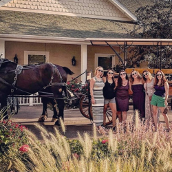 Bachelor/Bachelorette Horse-Drawn Wine Tour