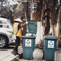 Yard Waste Removal