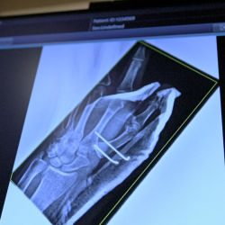 Radiology