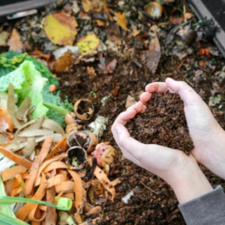 Compost and Mulch Use Toolbox