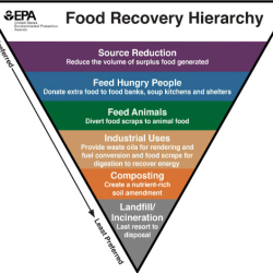 Food Waste Prevention Actions