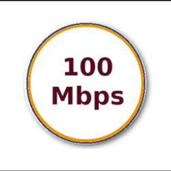 Fiber Services Packages: 100 Mbps Premium