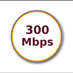 Fiber Services Packages: 300 Mbps Premium