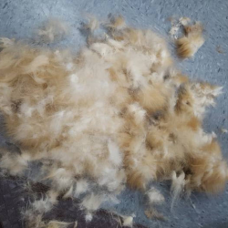 De-Shedding Treatment