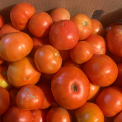 Fresh Produce